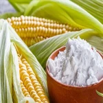 Bulk purchase of organic corn starch powder with the best conditions