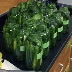 Price and purchase pickled cucumber healthy with complete specifications