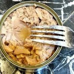 Bulk purchase of fresh tuna can qatar with the best conditions