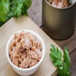 canned light tuna omega 3 price list wholesale and economical