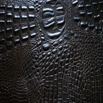 natural crocodile leather specifications and how to buy in bulk