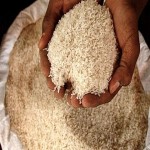 best iranian rice acquaintance from zero to one hundred bulk purchase prices