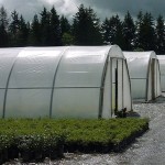 Price and purchase greenhouse nylon cover with complete specifications