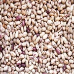 dried pinto bean with complete explanations and familiarization