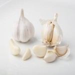 Buy and price list of white garlic for skin with the best quality