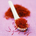 Learning to Buy saffron powder from Beginning to End