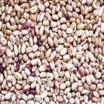 pinto beans vs black beans specifications and how to buy in bulk