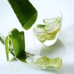 aloe vera leaf gel specifications and how to buy in bulk