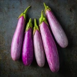 purple japanese eggplant specifications and how to buy in bulk