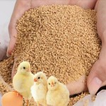 Bulk purchase of best poultry feed in nigeria with the best conditions