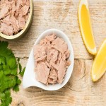 best tuna in australia with complete explanations and familiarization