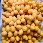 barhi dates australia specifications and how to buy in bulk