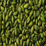 Price and purchase iranian green pistachios with complete specifications