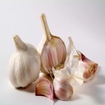 raw garlic health benefits + purchase