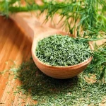 dried dill leaf specifications and how to buy in bulk