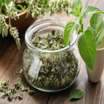 organic dried mint buying guide with special conditions and exceptional price