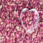 fresh raw pistachio specifications and how to buy in bulk