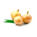 yellow onion market price wholesale