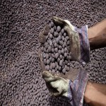 Iron ore pellets hs code | Reasonable Price, Great Purchase