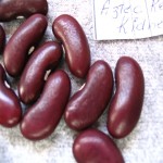 The price of bulk purchase of red big beans is cheap and reasonable