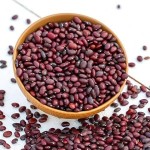 red colour beans specifications and how to buy in bulk