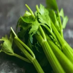 fresh organic celery specifications and how to buy in bulk