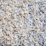 champa rice in east asia with complete explanations and familiarization
