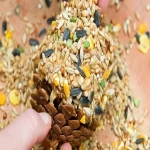 bird food uk acquaintance from zero to one hundred bulk purchase prices