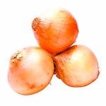 big yellow onion price list wholesale and economical