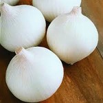 Bulk purchase of large white onion with the best conditions