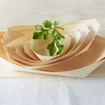 Price and purchase large disposable vegetable dishes with complete specifications