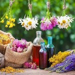 Bulk purchase of herbal medicine plants with the best conditions