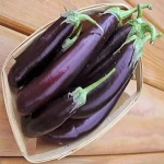 purple italian eggplant buying guide with special conditions and exceptional price