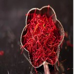 Price and Purchase Spanish saffron with Complete Specifications