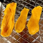 dried mango slices acquaintance from zero to one hundred bulk purchase prices