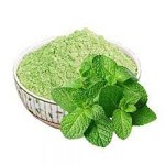 dried mint in urdu specifications and how to buy in bulk