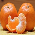 tiny tangerine fruit acquaintance from zero to one hundred bulk purchase prices
