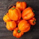 Orange bell peppers with Complete Explanations and Familiarization