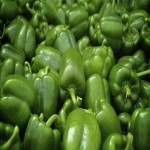 Green bell peppers Specifications and How to Buy in Bulk