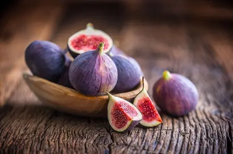 Statistical Table of Fresh and Dried Fig Importers and Exporters Worldwide