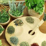 dried vegetables in kashmir price list wholesale and economical