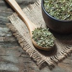Commercial production of thyme for all seasons