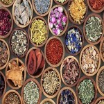 Learning to buy an cheap bulk herbs from zero to one hundred
