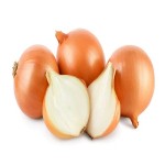 yellow onions big price list wholesale and economical