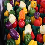 Buy the latest types of bell pepper at a reasonable price