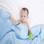 Price and purchase silk baby blanket with complete specifications