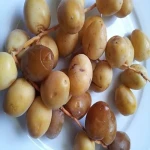 barhi dates fresh with complete explanations and familiarization