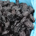 dried black prunes buying guide with special conditions and exceptional price