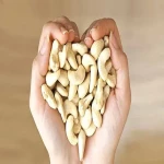organic raw cashews specifications and how to buy in bulk