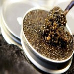 black caviar best price list wholesale and economical